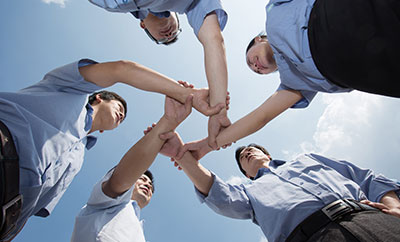 综合管理部 （董事会办公室）